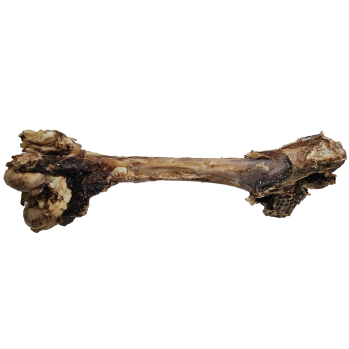 Venison Femur Bone