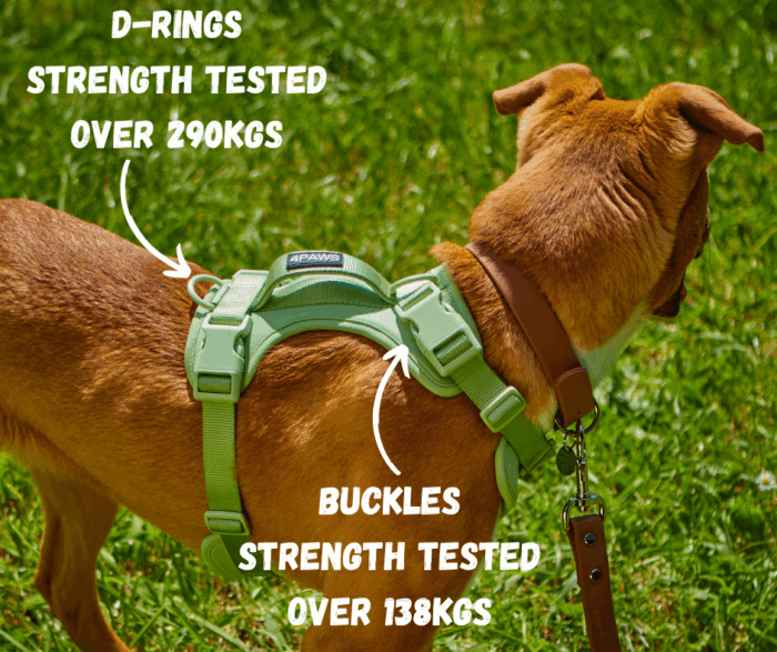 Air Harness