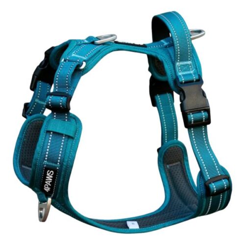 Adventure Harness | Arctic