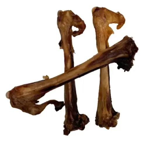 Large Goat Bones