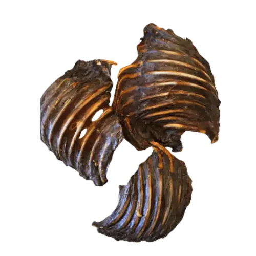 Kangaroo Rib Racks 100g – natural dry dog chew, high-protein, hypoallergenic